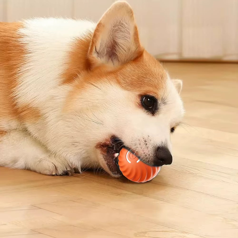 PlayBall