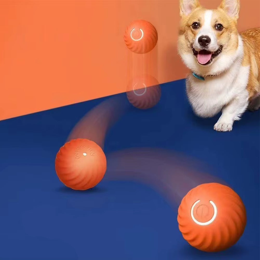 PlayBall